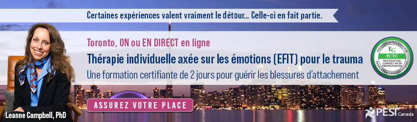 150755 Formation EFIT de 2 jours Mise à jour 850 x 250