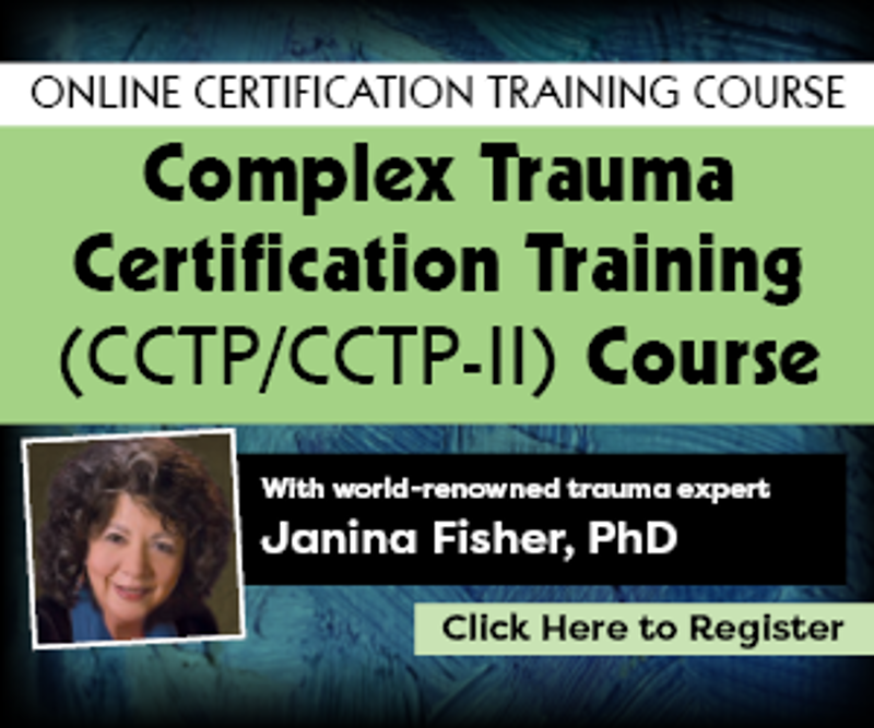 001292 Janina Fisher CCTP I et II FR 300 X 250