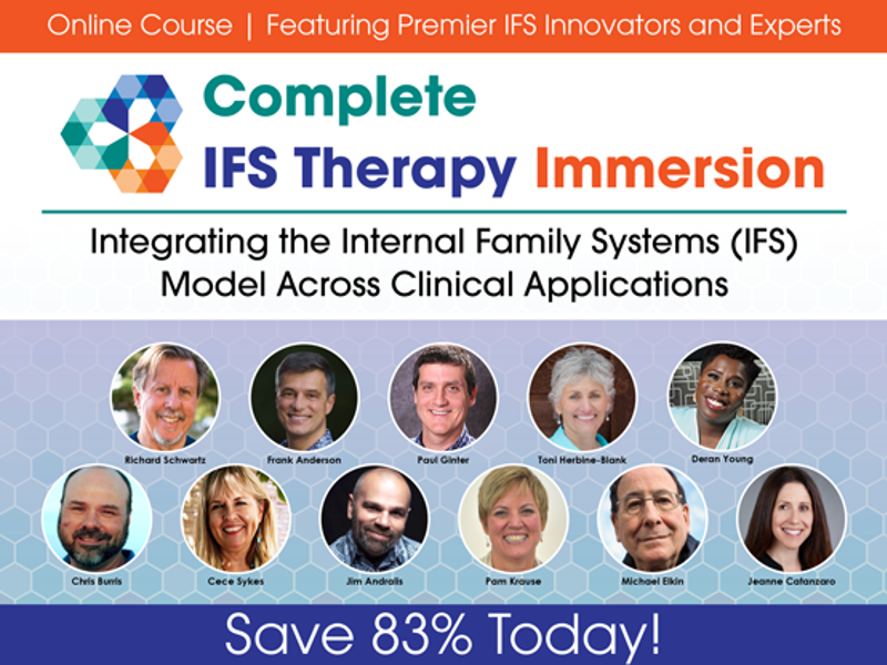 001403 IFS Immersion NEW TITLE 555 X 416